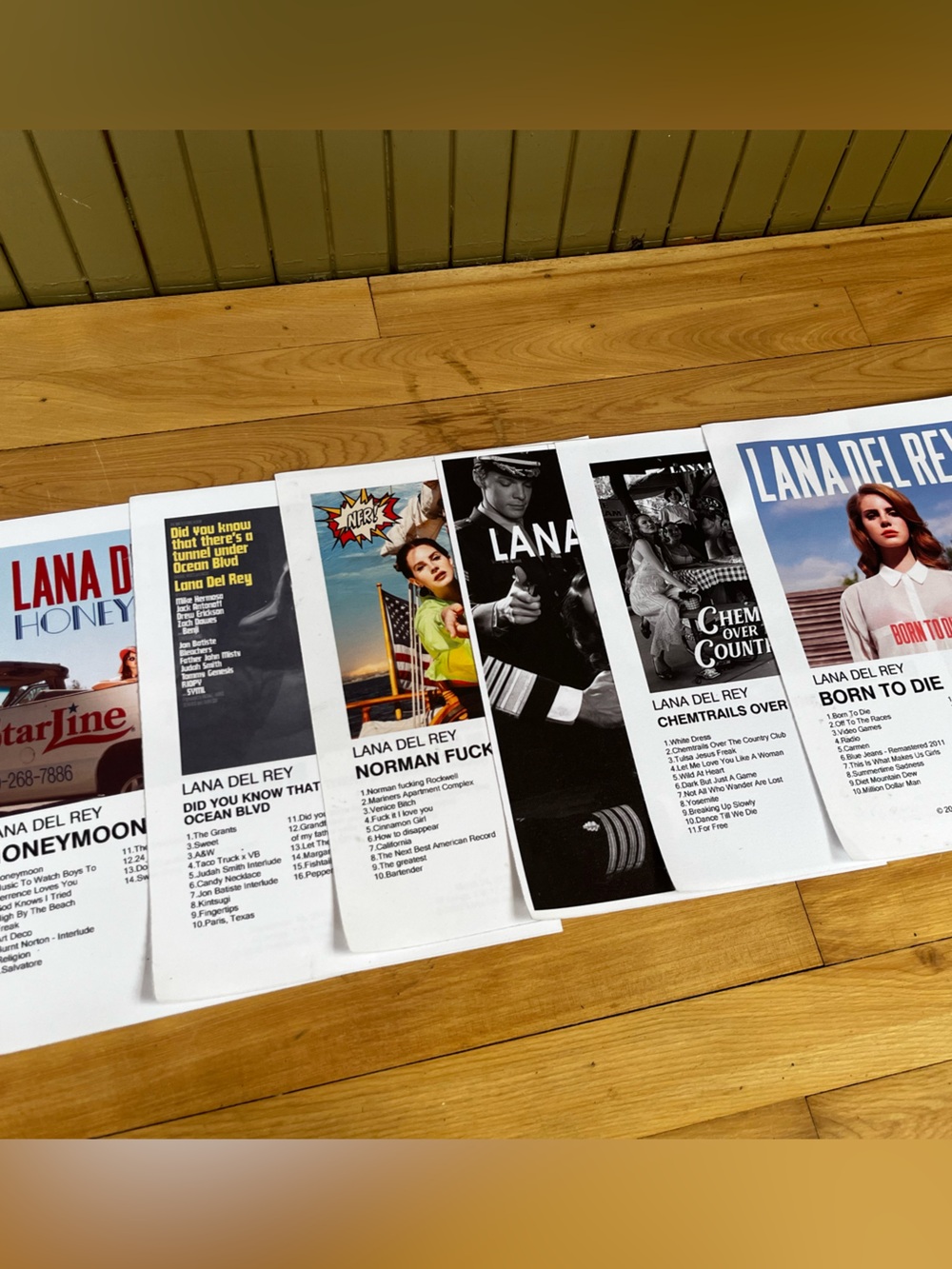 Lana Del Rey Album Cover Canvas Posters 12x8 Lot of 6